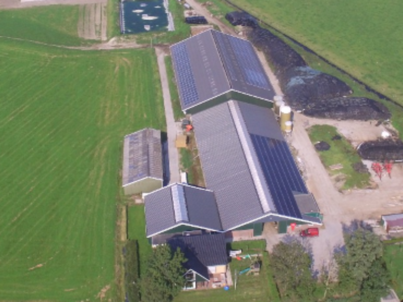 Veehouderij Van Mourik 12