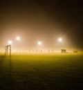 Led Verlichting Credit Kenniscentrum Sport En Bewegen